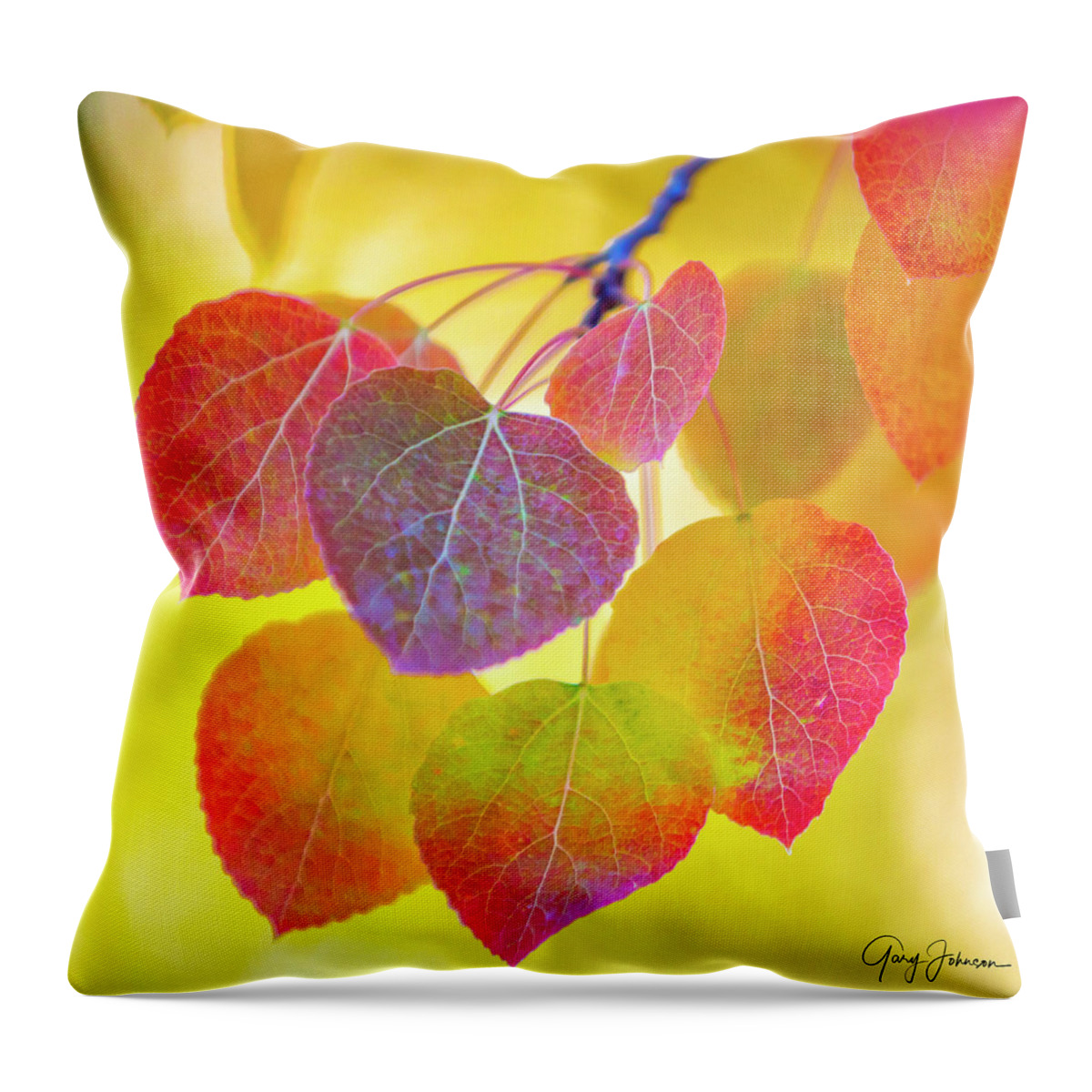 Aspen-trees Throw Pillow featuring the photograph Glowing Aspen by Gary Johnson