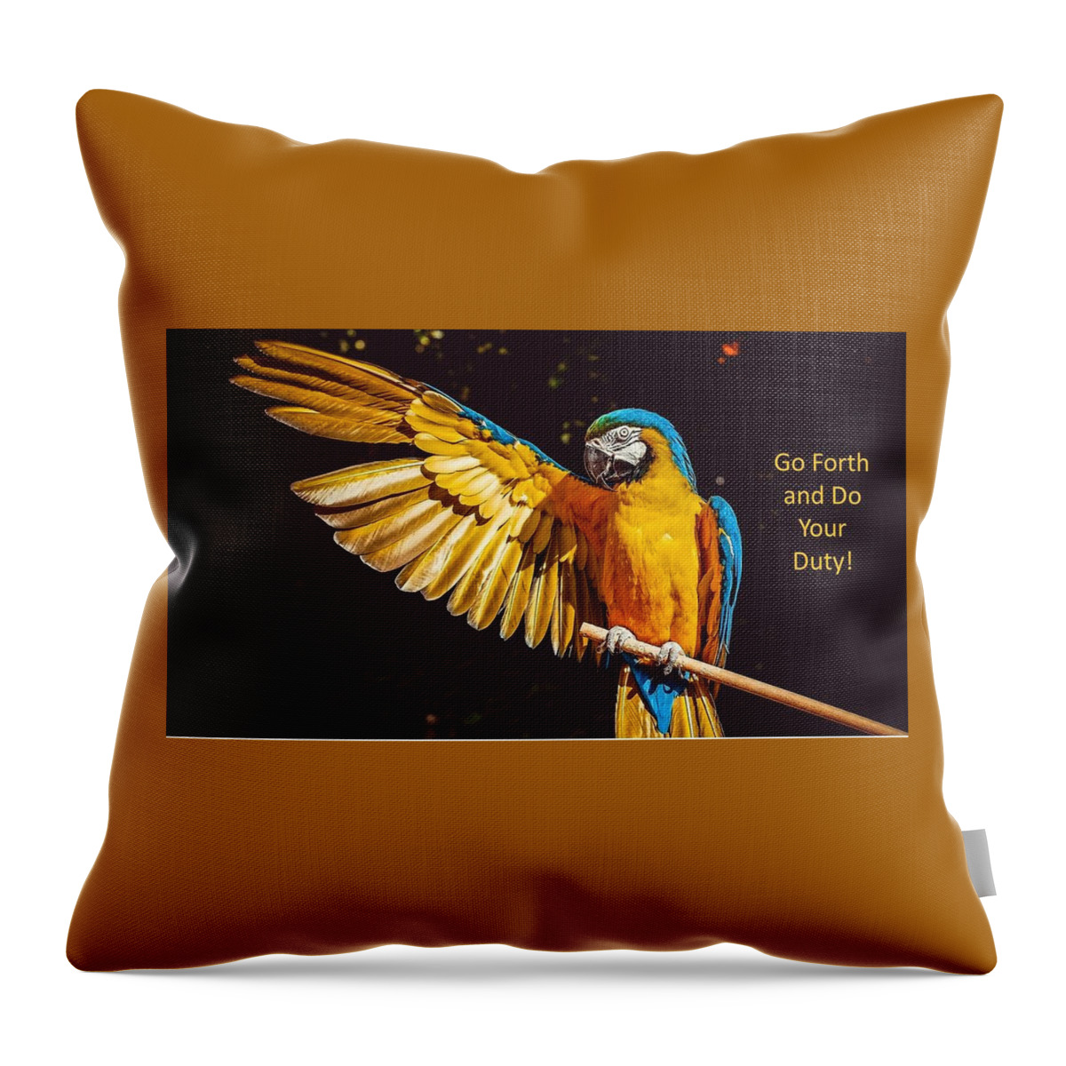 Parrot Throw Pillow featuring the photograph Go Forth and Do Your Duty by Nancy Ayanna Wyatt