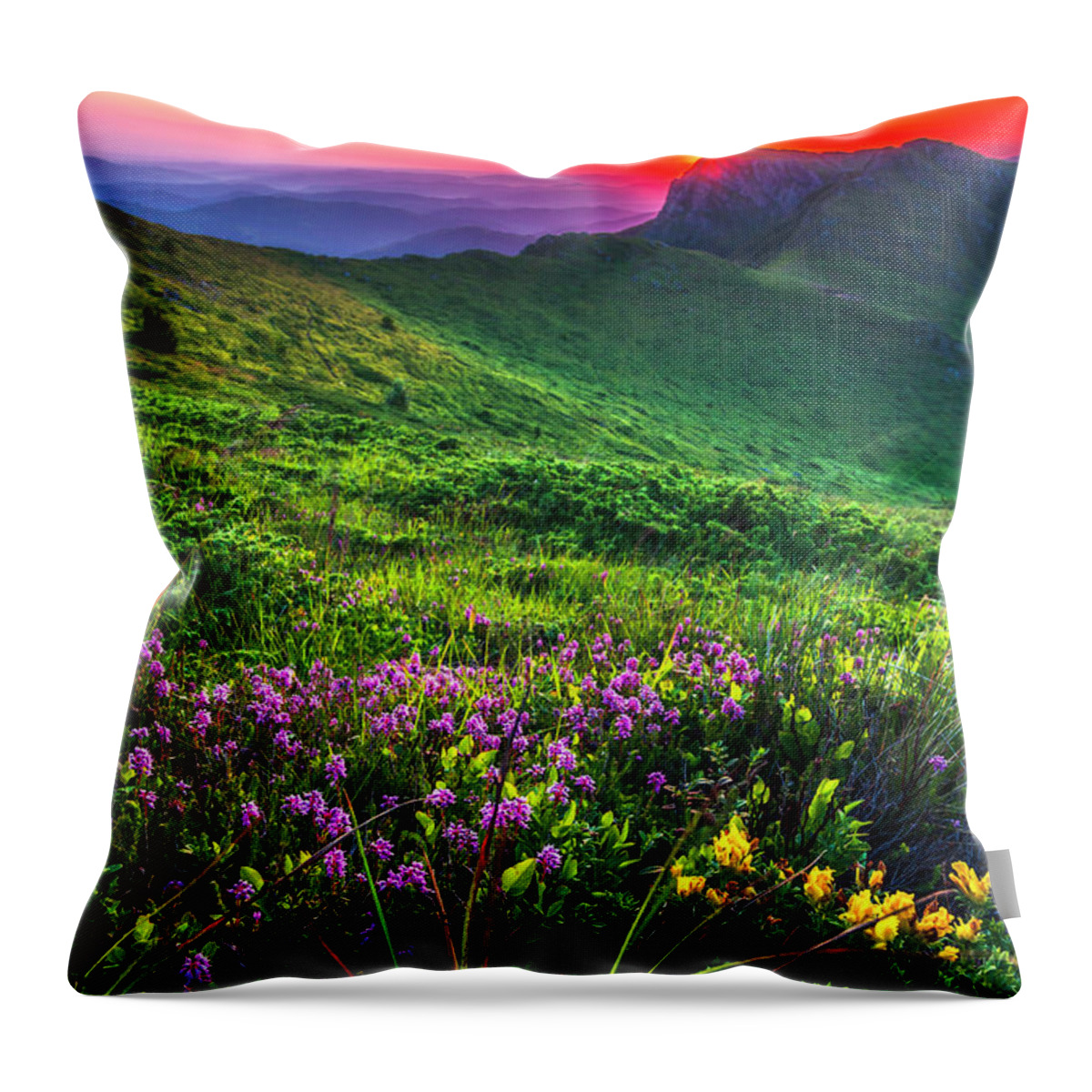 Balkan Mountains Throw Pillow featuring the photograph Goat Wall by Evgeni Dinev