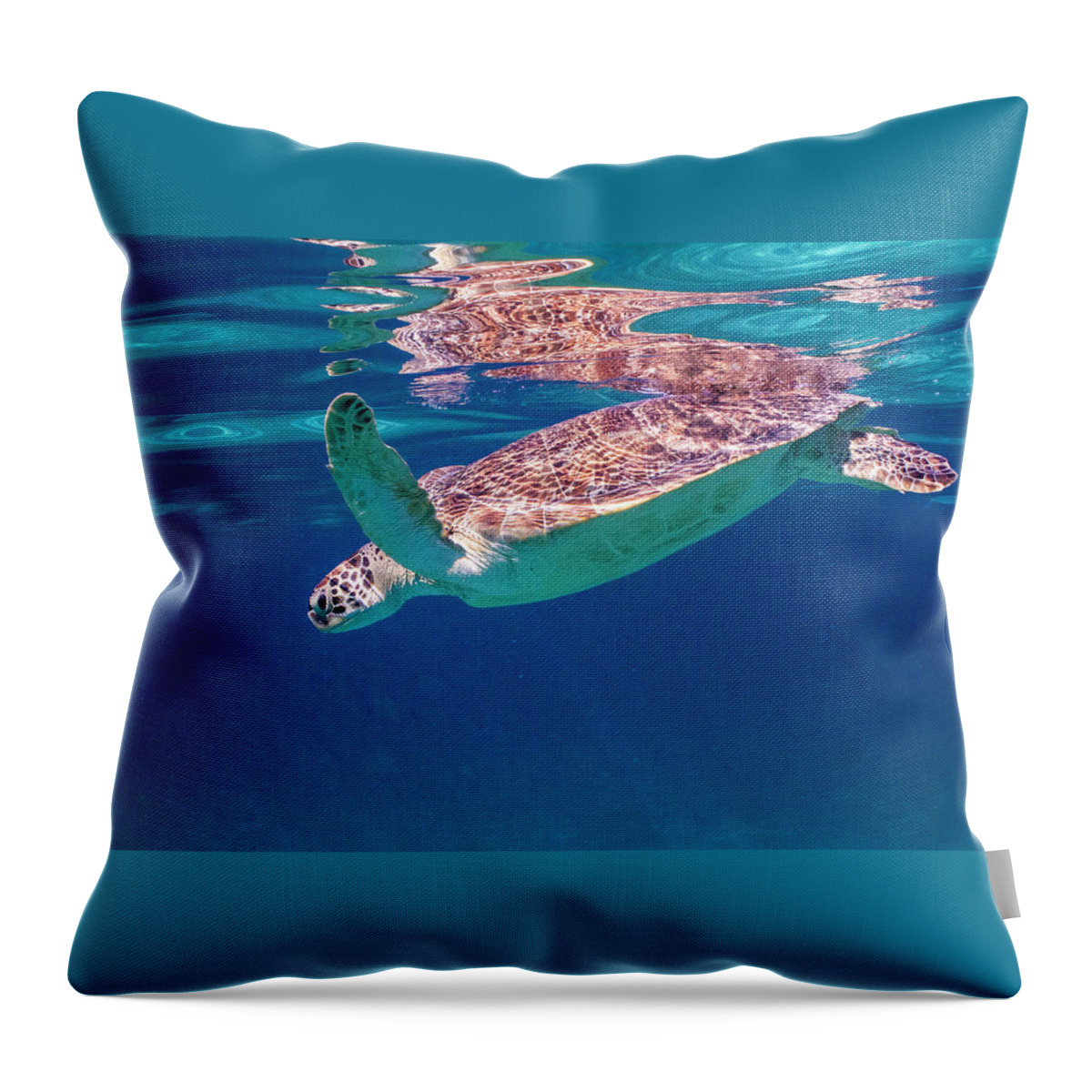 Animals Throw Pillow featuring the photograph Going Down by Lynne Browne