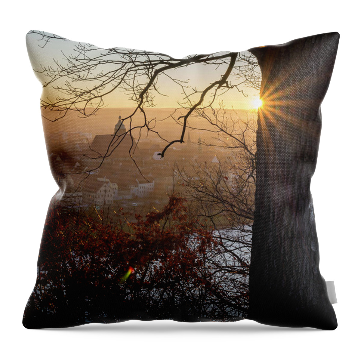 Sunset Throw Pillow featuring the photograph Golden evening light 2 by Adriana Mueller