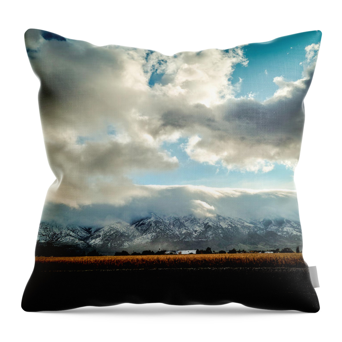 Landscape Throw Pillow featuring the photograph Golden Fields by Carmen Kern