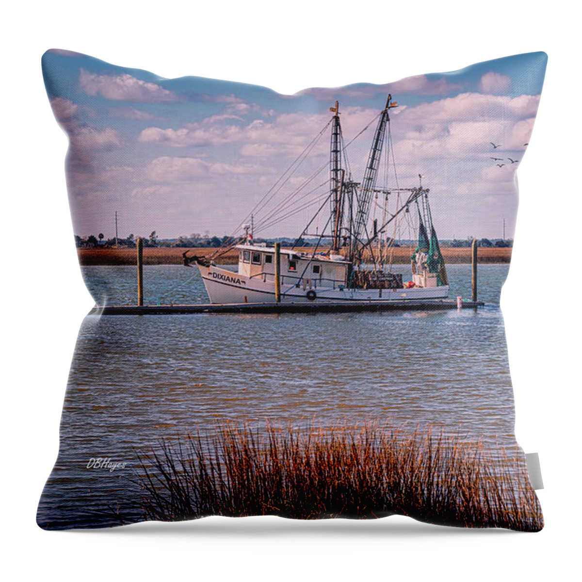  Throw Pillow featuring the photograph Golden Isles Marine PhotoArt by DB Hayes