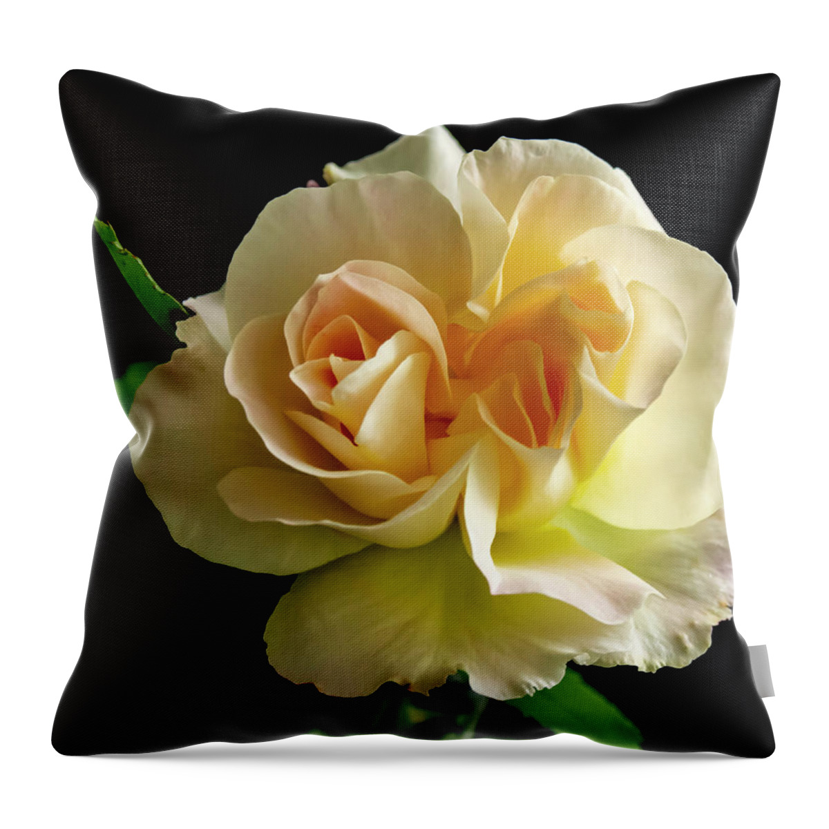 Flower Throw Pillow featuring the photograph Golden Rose by Cathy Kovarik