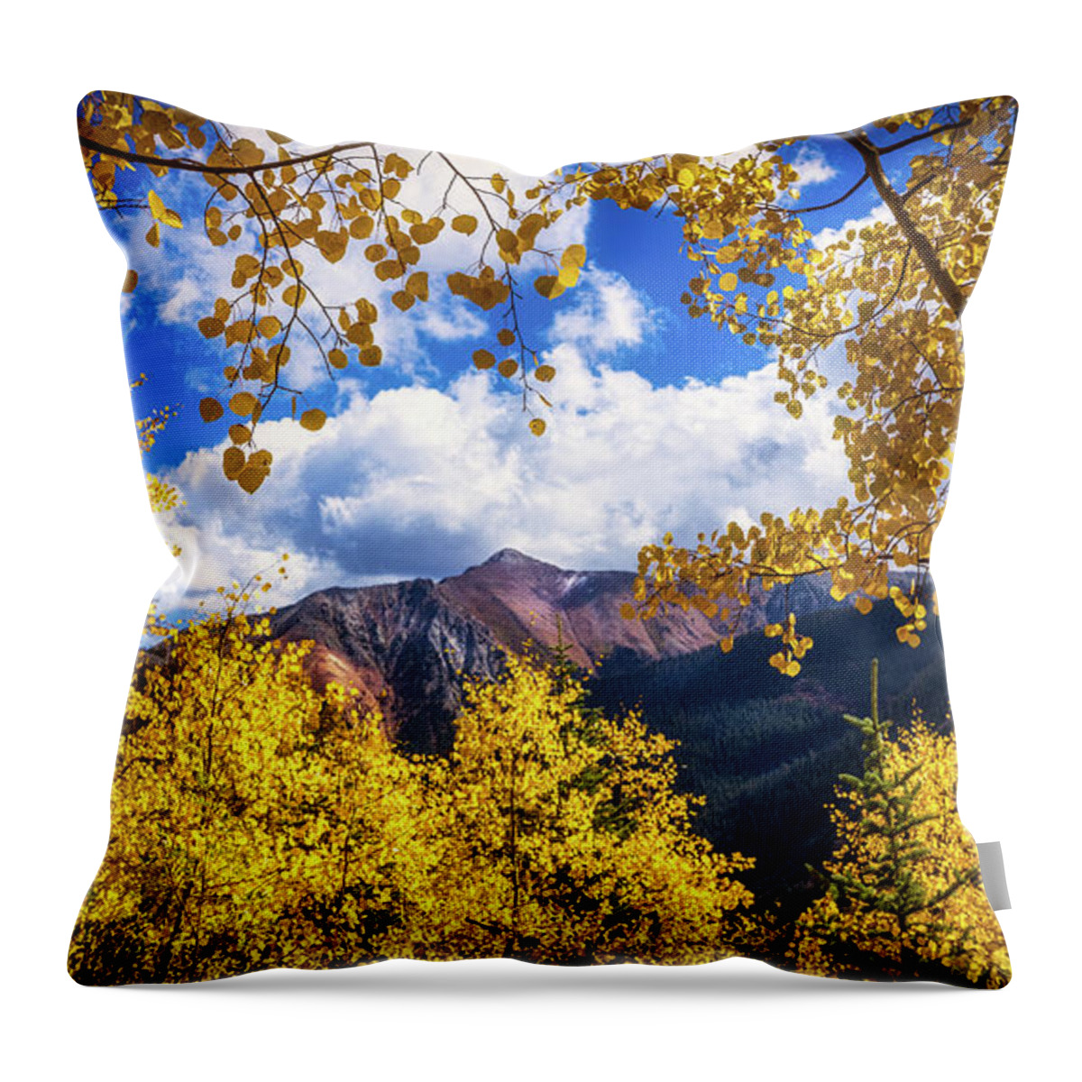 Colorado Throw Pillow featuring the photograph Golden Window by Bradley Morris