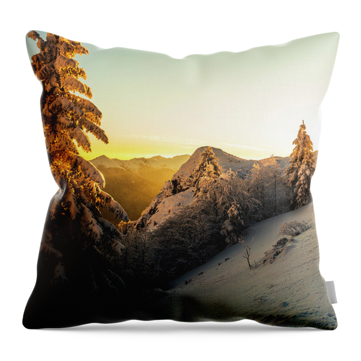 Balkan Mountains Throw Pillow featuring the photograph Golden Winter by Evgeni Dinev