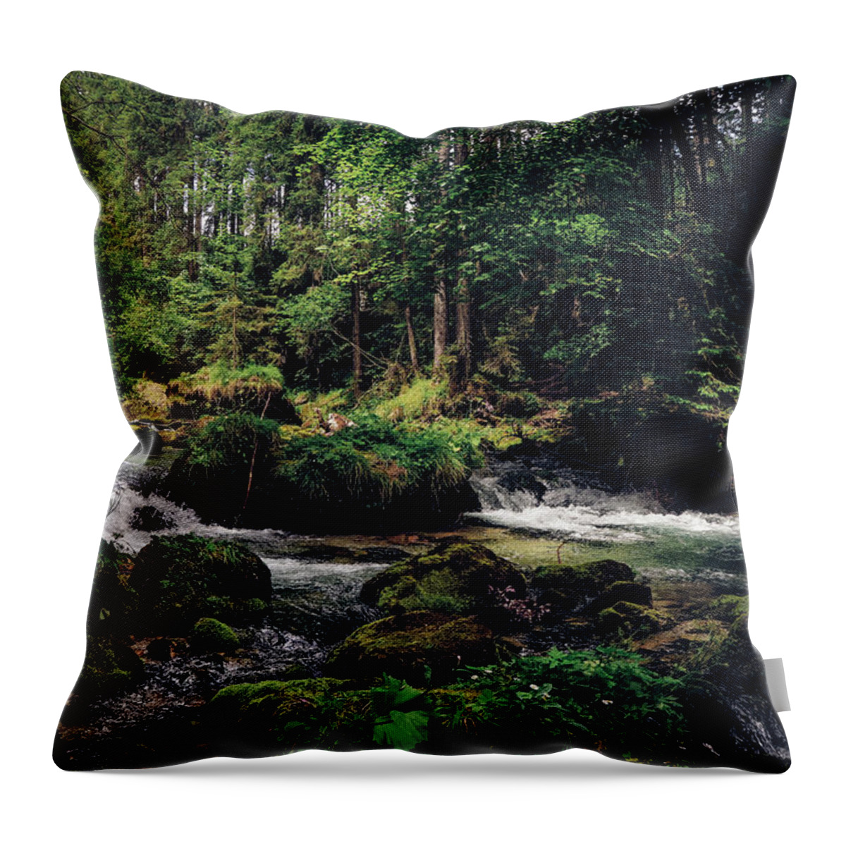 Path Throw Pillow featuring the photograph Gollinger Wasserfalls by Vaclav Sonnek