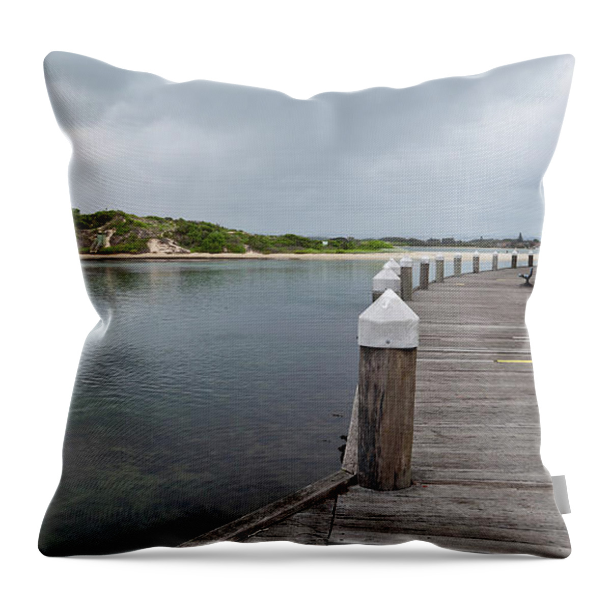 Forster Photo Prints Throw Pillow featuring the digital art Gorgeous Forster 88882 by Kevin Chippindall