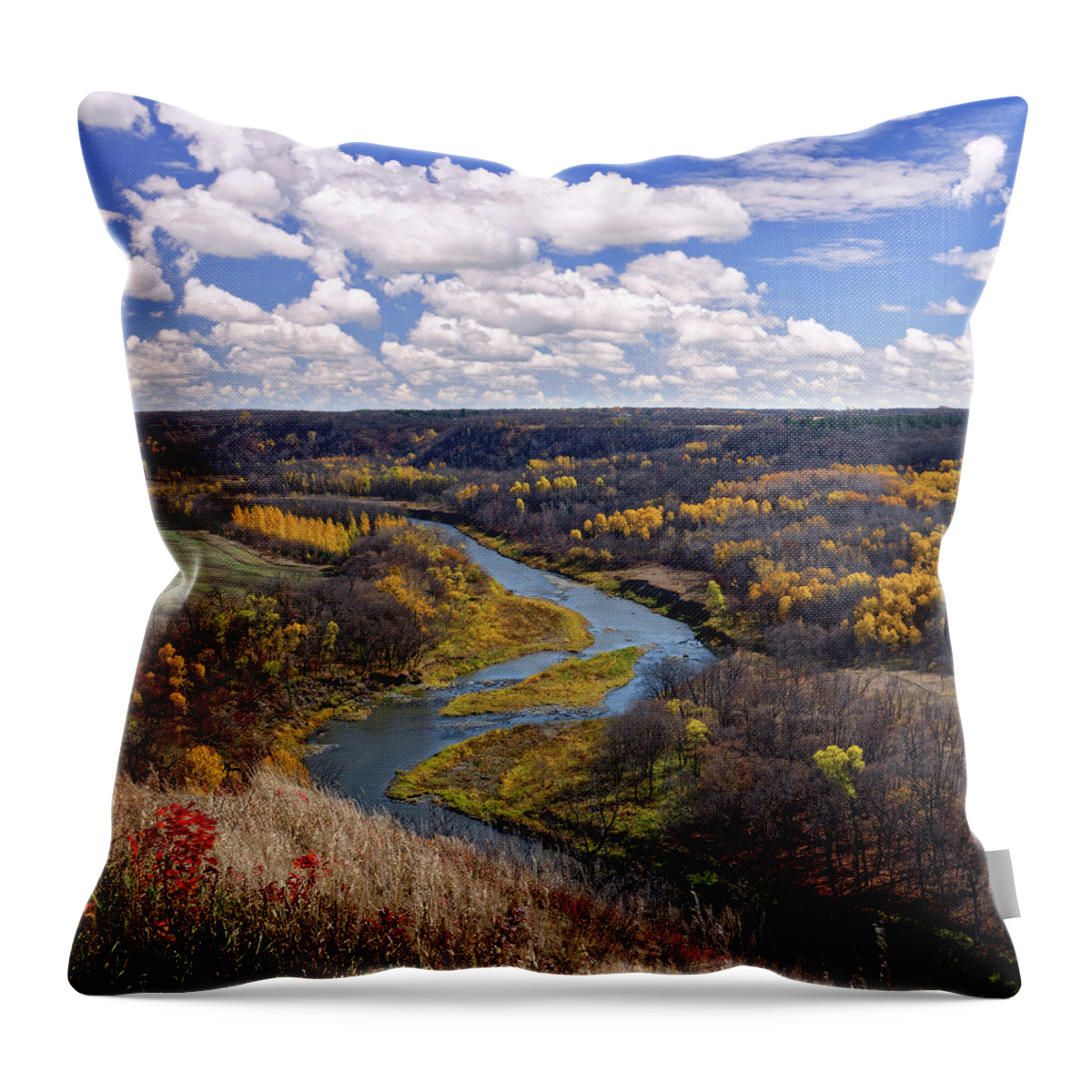 Nd Throw Pillow featuring the photograph Gorgeous Pembina Gorge ND at Tetrault Forest Lookout by Peter Herman