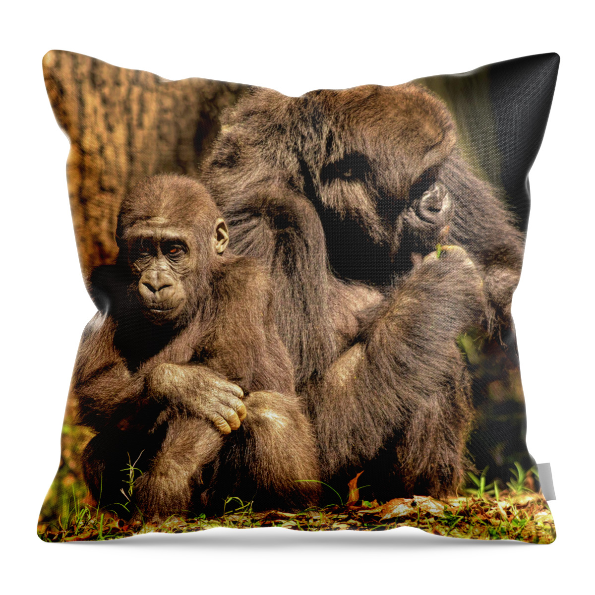 Gorilla Throw Pillow featuring the photograph Gorilla Family by Karen Cox
