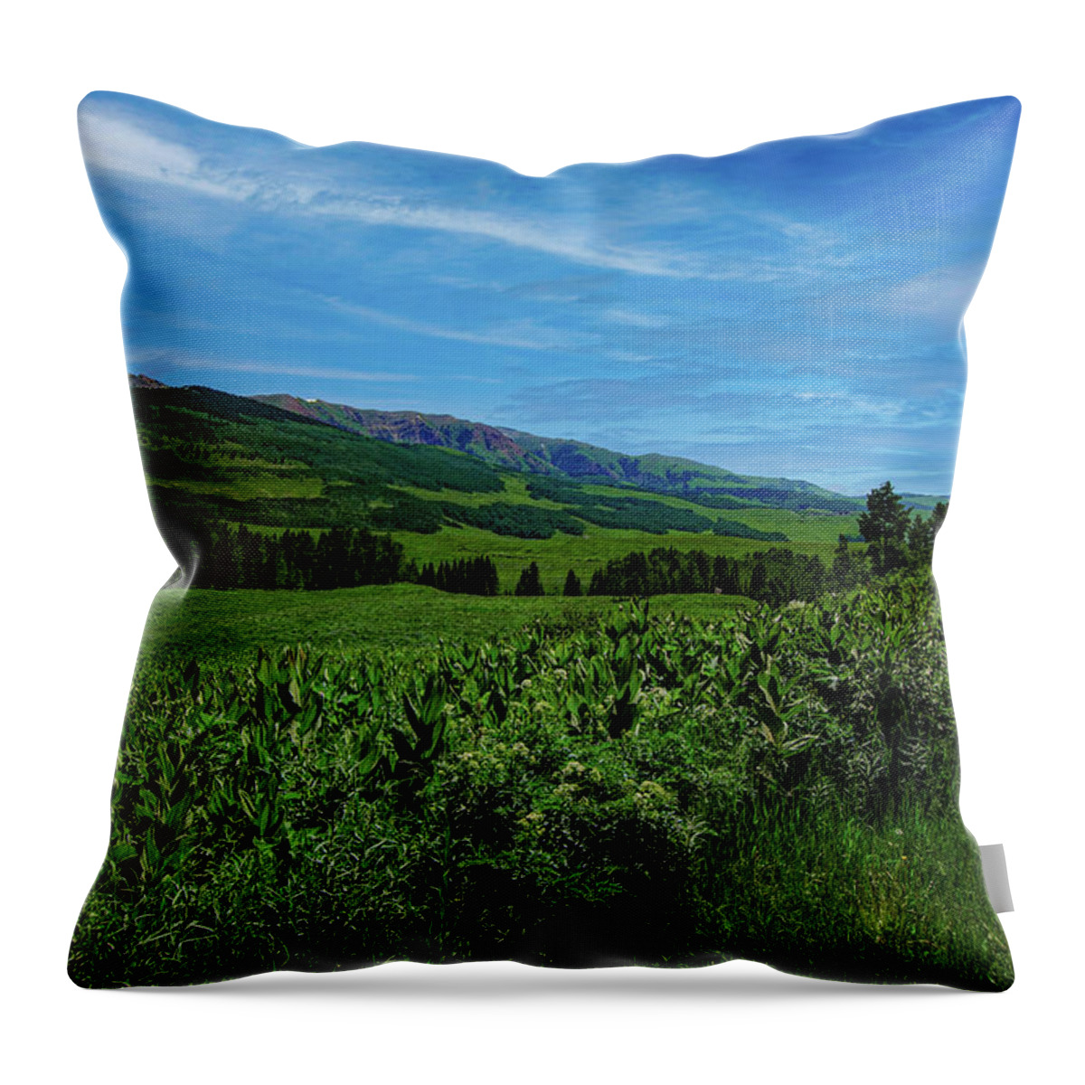 Cloud Throw Pillow featuring the photograph Crested Butte Colorado, Gothic Mountain by Tom Potter