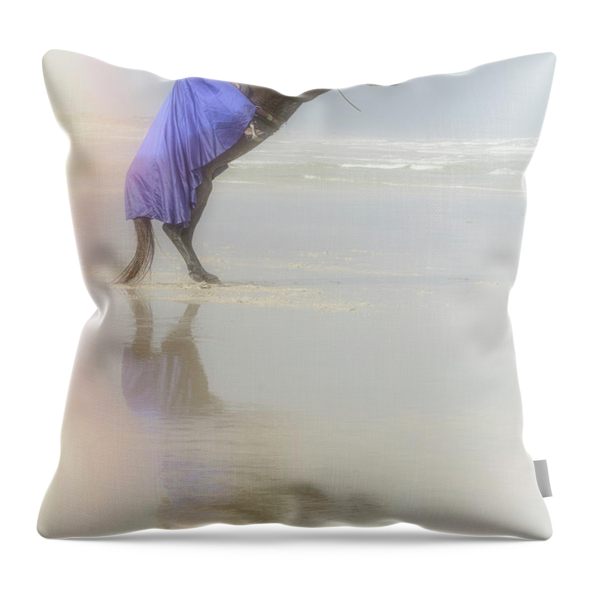 Horse Throw Pillow featuring the photograph Grace and Power by M Kathleen Warren