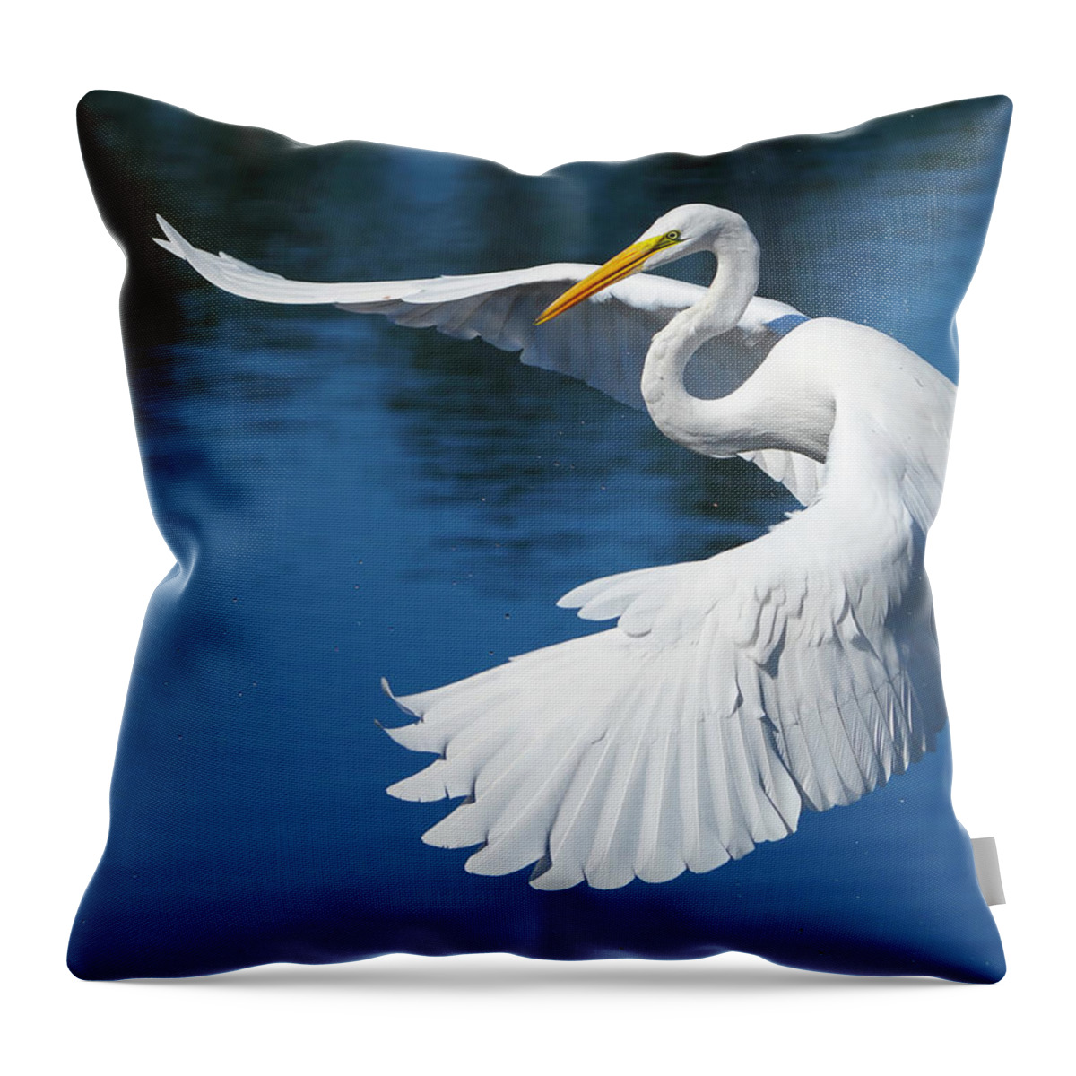Birds Throw Pillow featuring the photograph Graceful Great Egret by Larry Marshall