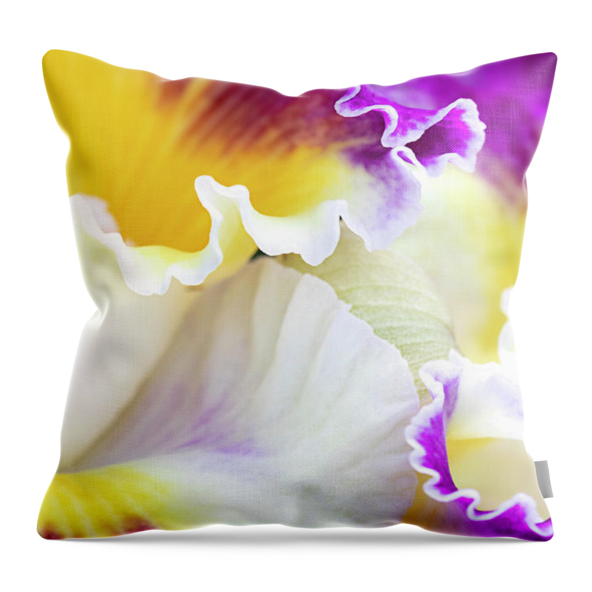 Flower Throw Pillow featuring the photograph Graceful by Patty Colabuono