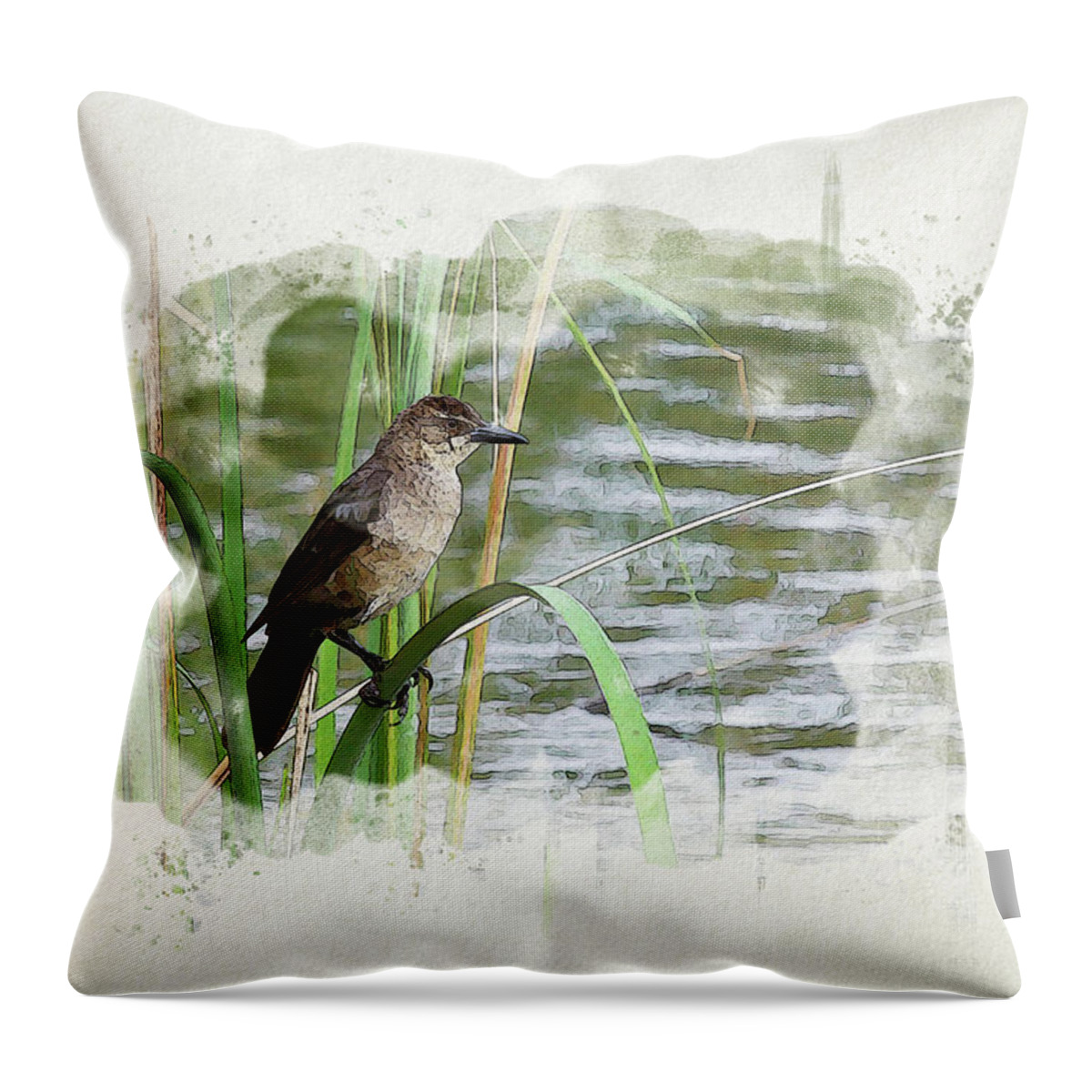 Grackle Throw Pillow featuring the digital art Grackle by the Lake by Alison Frank