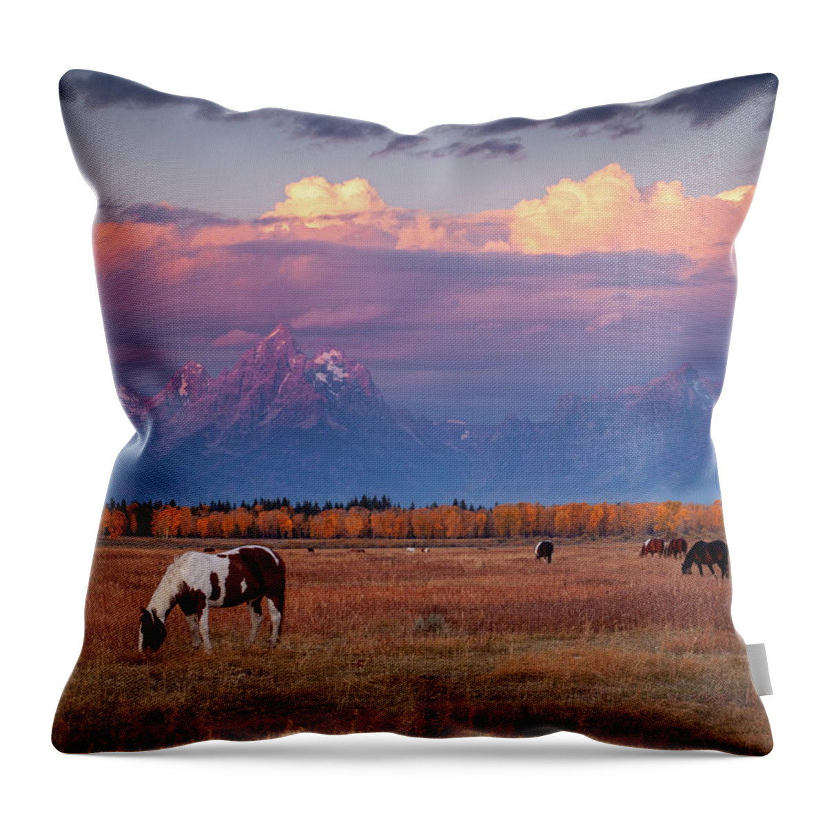 Grand Tetons Throw Pillow featuring the photograph Grand Teton Pasture by Wesley Aston