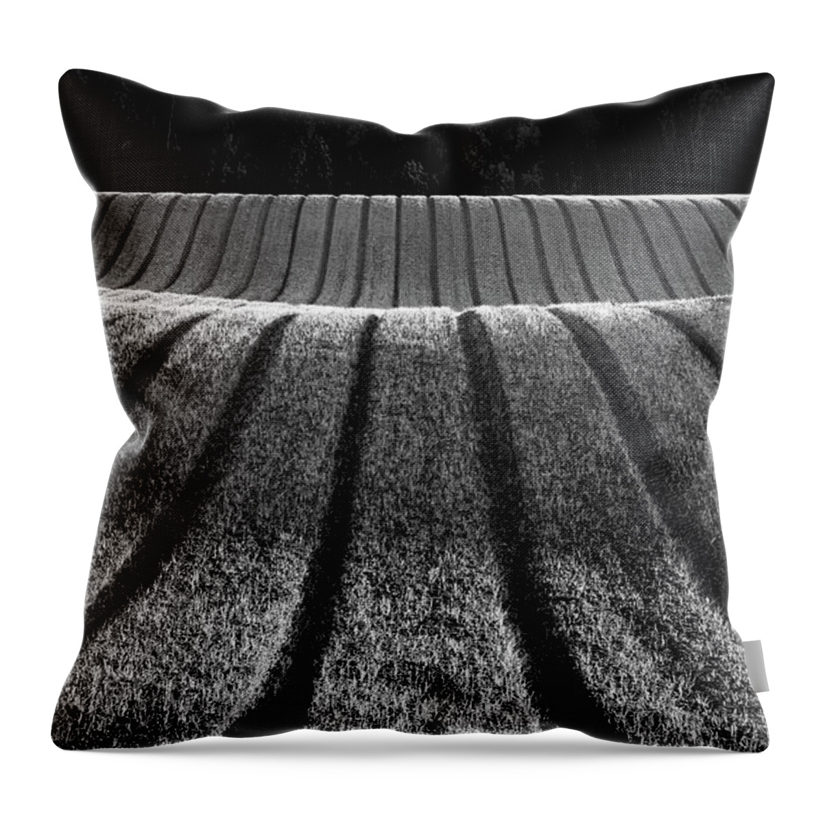 Abstract Throw Pillow featuring the photograph Graphic Farming by Manpreet Sokhi