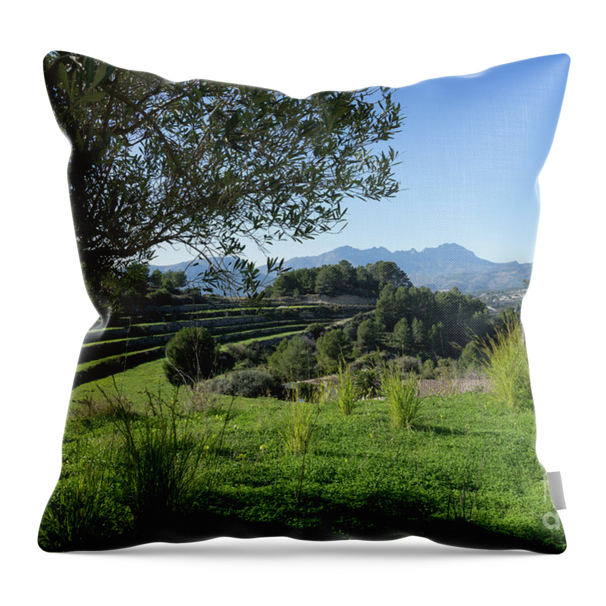 Landscape Throw Pillow featuring the photograph Grass and clover under the olive tree by Adriana Mueller