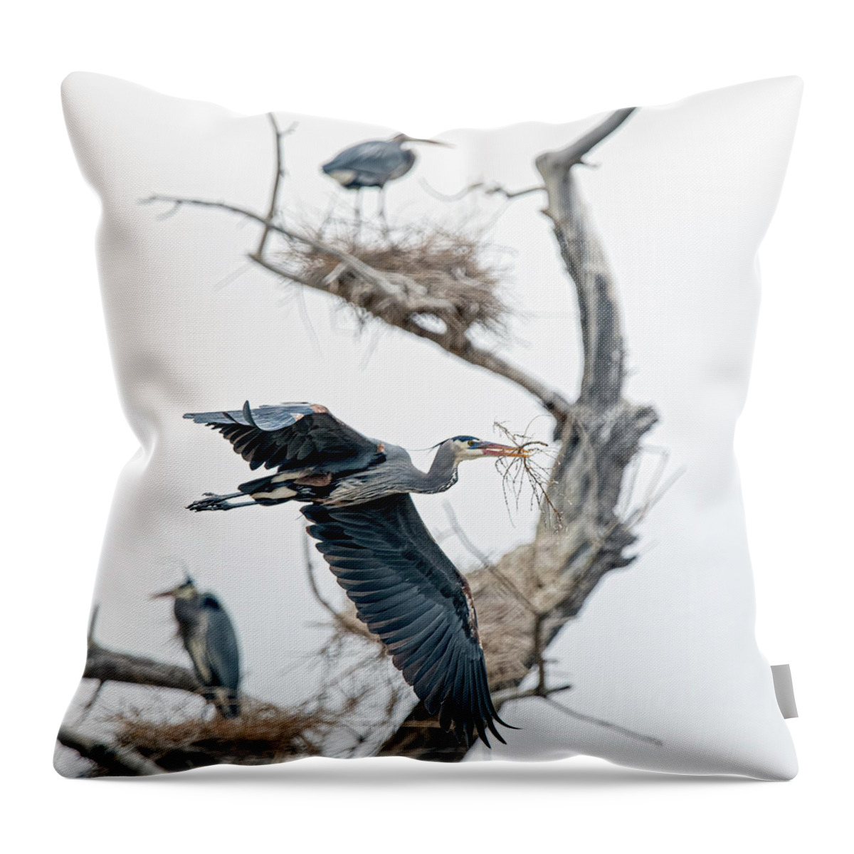 Stillwater Wildlife Refuge Throw Pillow featuring the photograph Great Blue Heron 5 by Rick Mosher