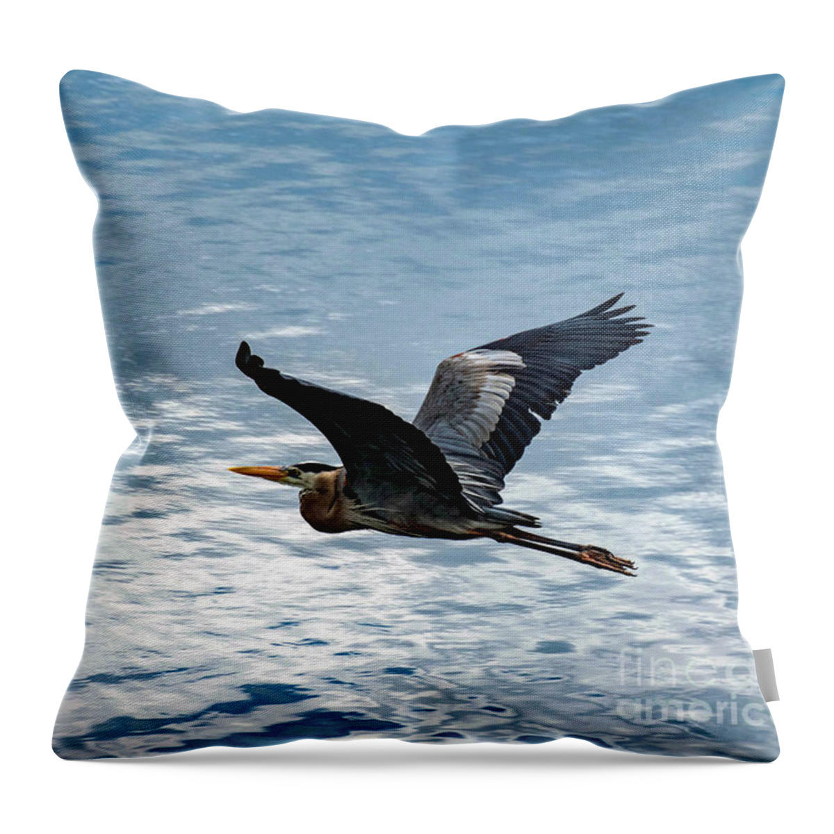 Great Throw Pillow featuring the photograph Great Blue Heron In Flight by Beachtown Views