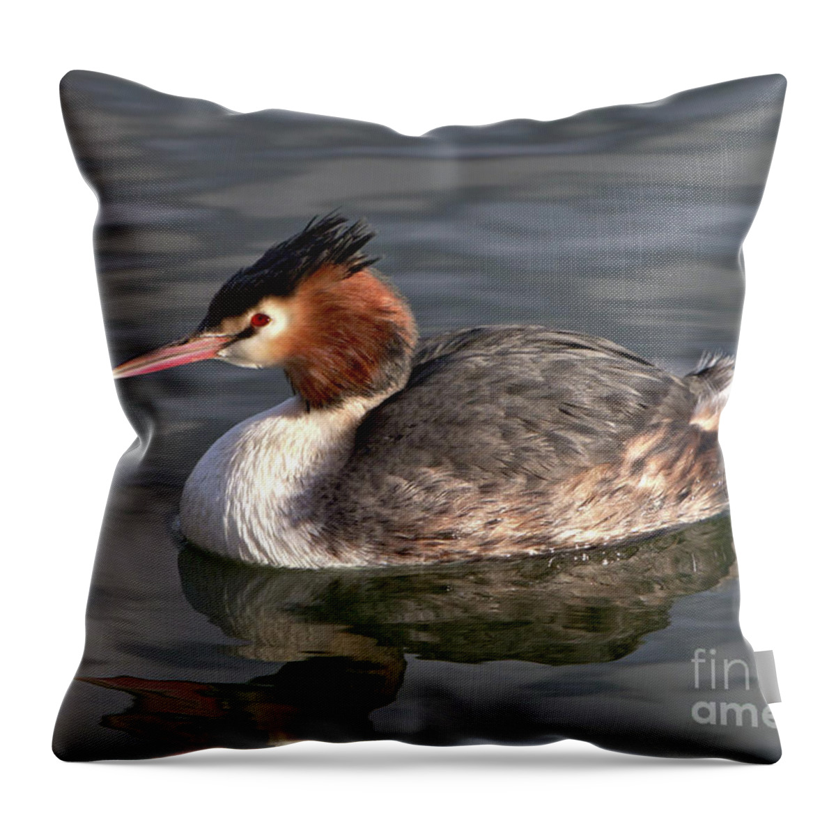 Nature Throw Pillow featuring the photograph Great Crested Grebe by Baggieoldboy