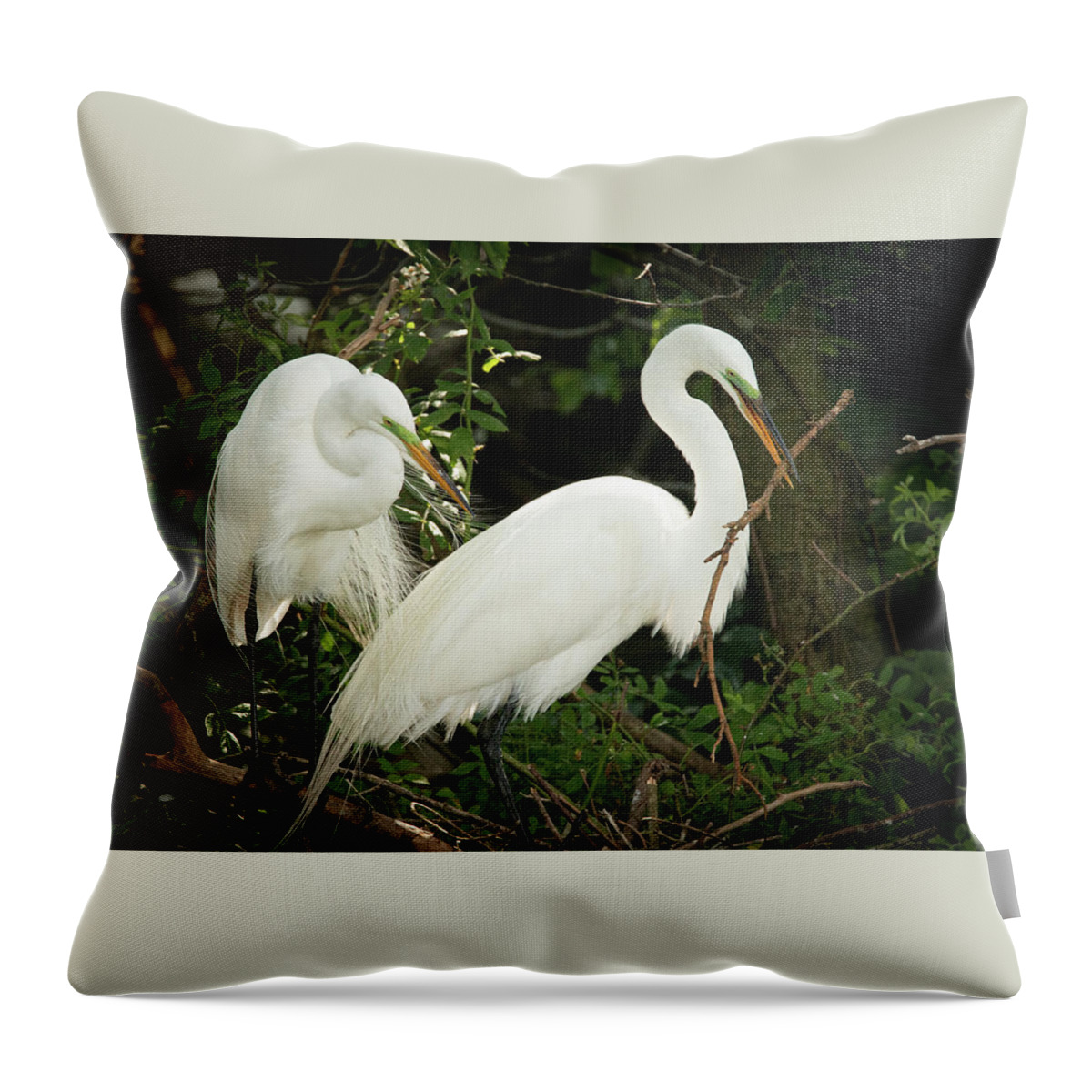 Wildlife Throw Pillow featuring the photograph Great Egret Pair Nest Building by Kristia Adams