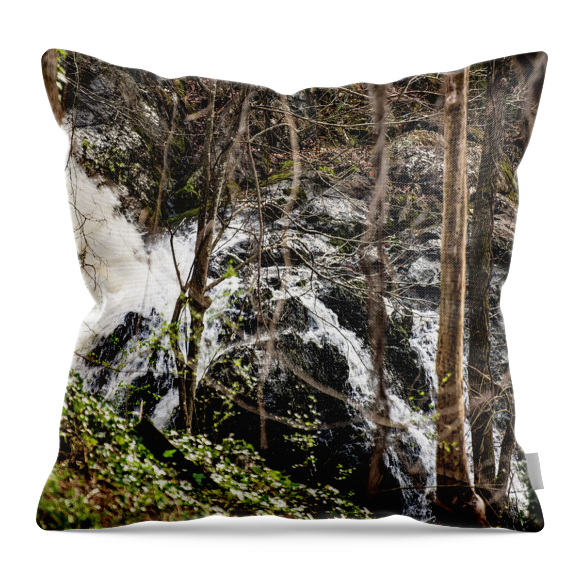 Great Falls Throw Pillow featuring the photograph Great Falls - Rockingham 01 by Flees Photos