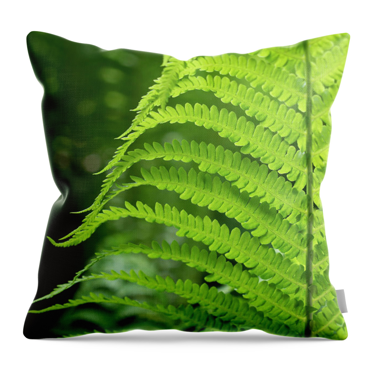 Fern Throw Pillow featuring the photograph Green fern and summer dream in the forest by Adriana Mueller