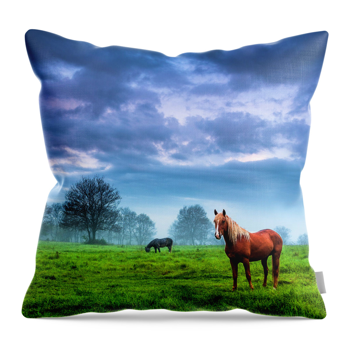 Fog Throw Pillow featuring the photograph Green Morn by Evgeni Dinev