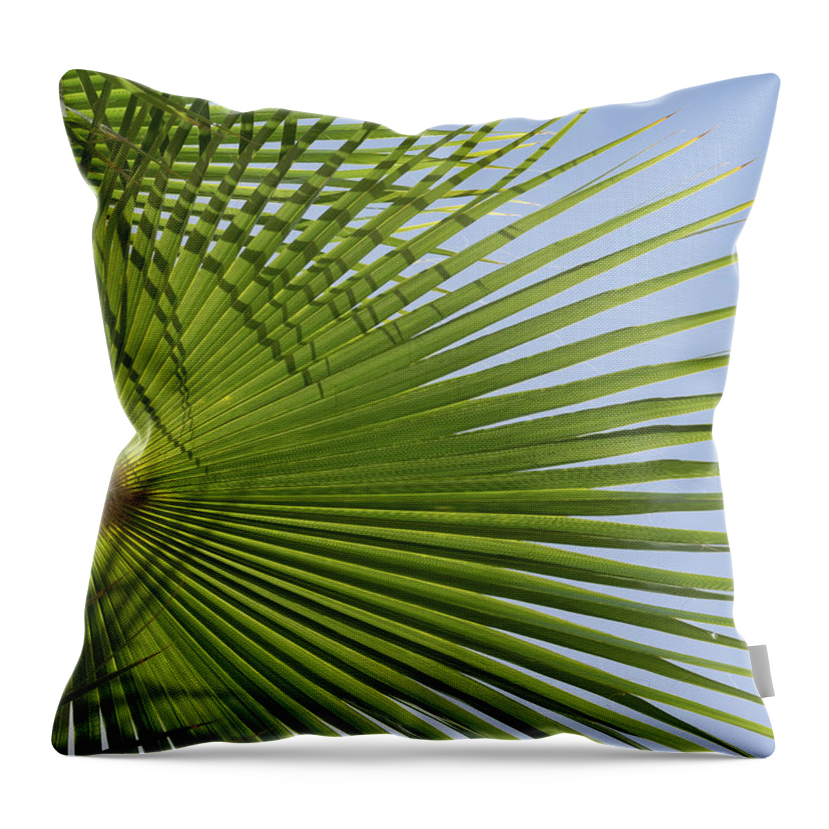 Palm Leaf Throw Pillow featuring the photograph Green palm leaf and blue sky, beach season by Adriana Mueller