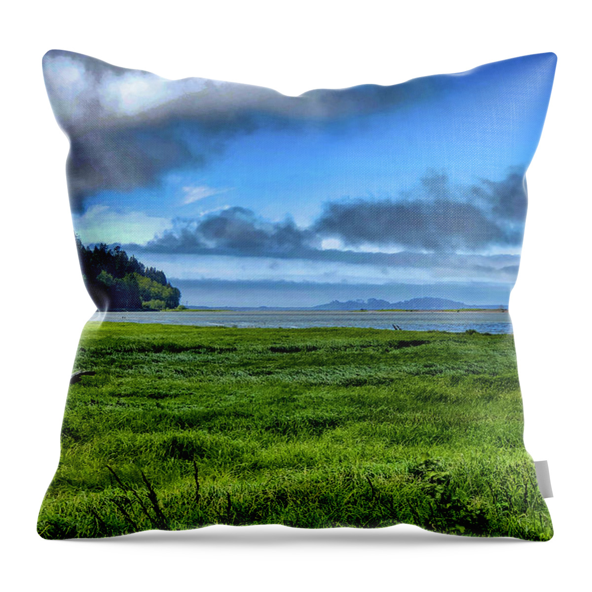 Landscape Throw Pillow featuring the digital art Green Reed Sea by Chriss Pagani