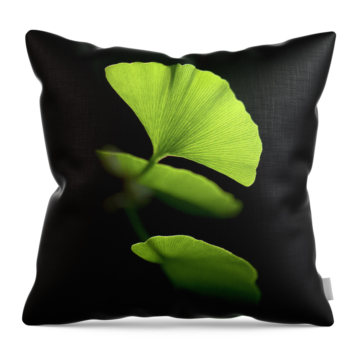 Leaves Throw Pillow featuring the photograph Green Sagacity by Philippe Sainte-Laudy