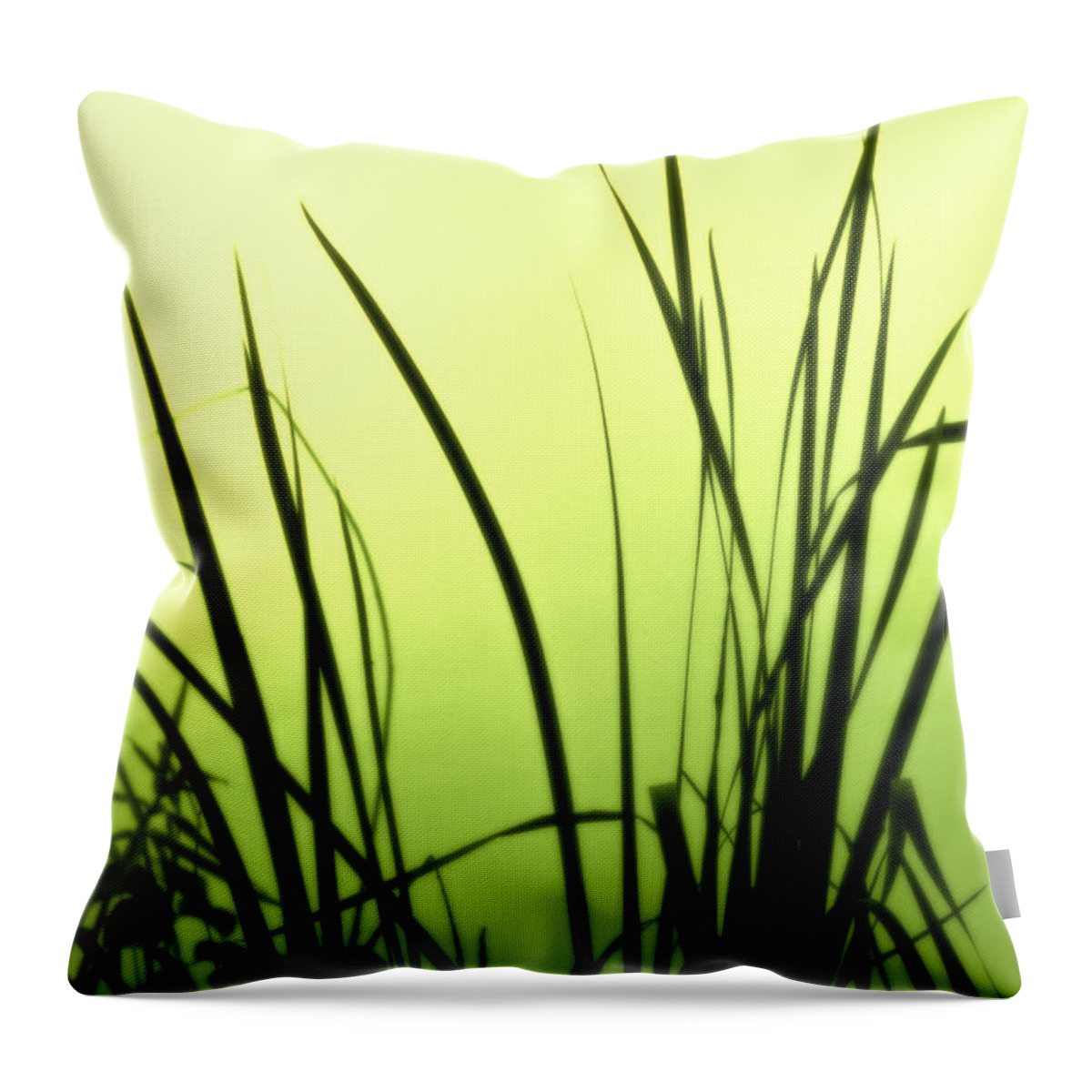 Reeds Throw Pillow featuring the photograph Green Soft Edges of morning by Cynthia Dickinson