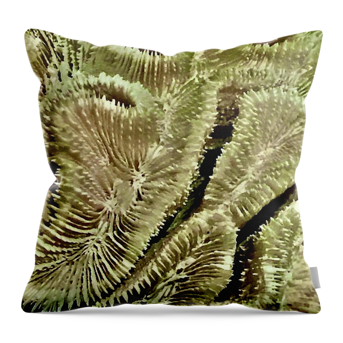Plants Throw Pillow featuring the photograph Green Ways by Kerry Obrist