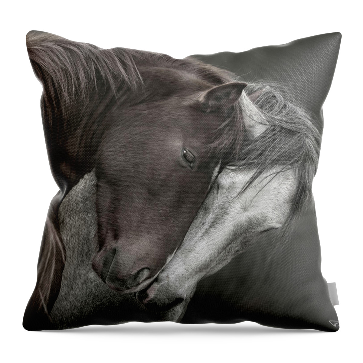 Stallion Throw Pillow featuring the photograph Greetings. by Paul Martin