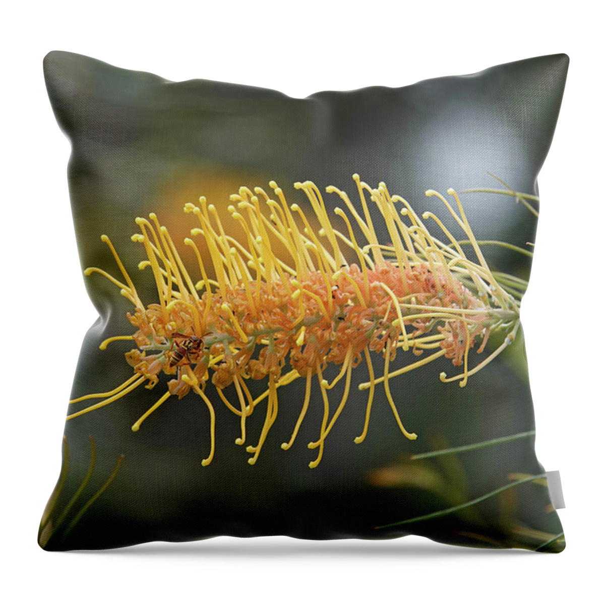 Grevillea Throw Pillow featuring the photograph Grevillea Flower with Paper Wasp by Maryse Jansen