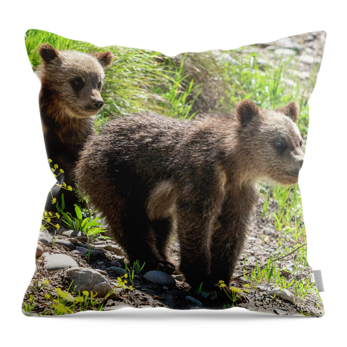 Grizzly Throw Pillow featuring the photograph Grizzly Bear Cubs by Wesley Aston