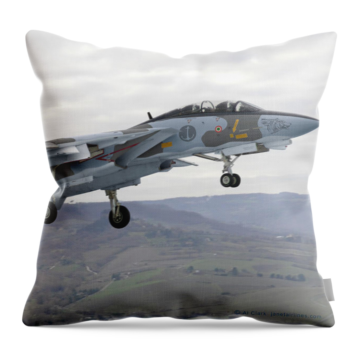 Tomcat Throw Pillow featuring the digital art Grumman F-14AN Micio by Custom Aviation Art