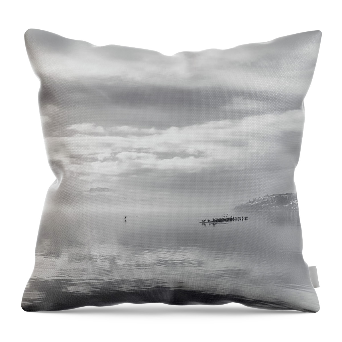 Black And White Photography Throw Pillow featuring the photograph Gulls and Reflection Black and White by Allan Van Gasbeck