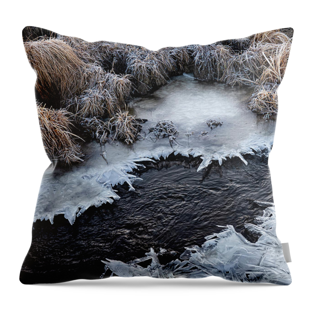 Ice Throw Pillow featuring the photograph Half Frozen Creek by Karen Rispin
