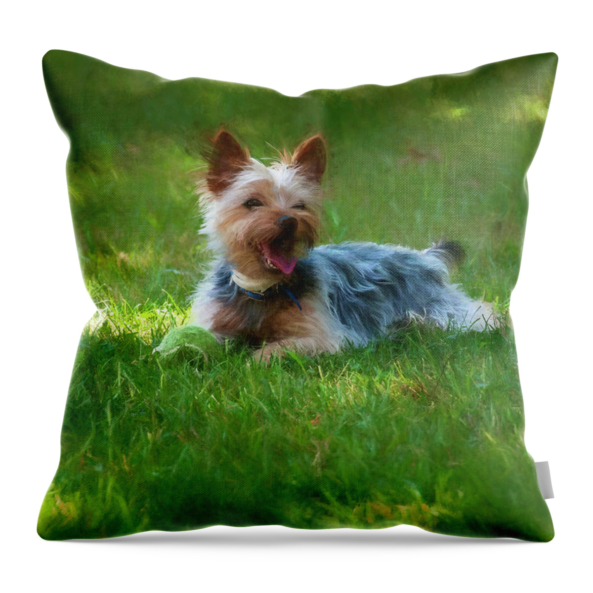 Dog Throw Pillow featuring the photograph Happy Dog by Cathy Kovarik
