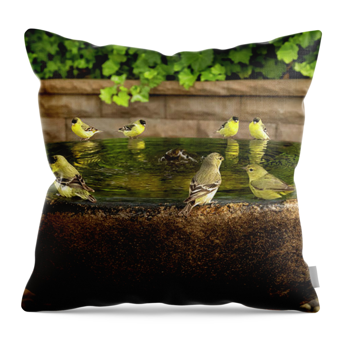 Gary-johnson Throw Pillow featuring the photograph Happy Hour at the Watering Hole by Gary Johnson