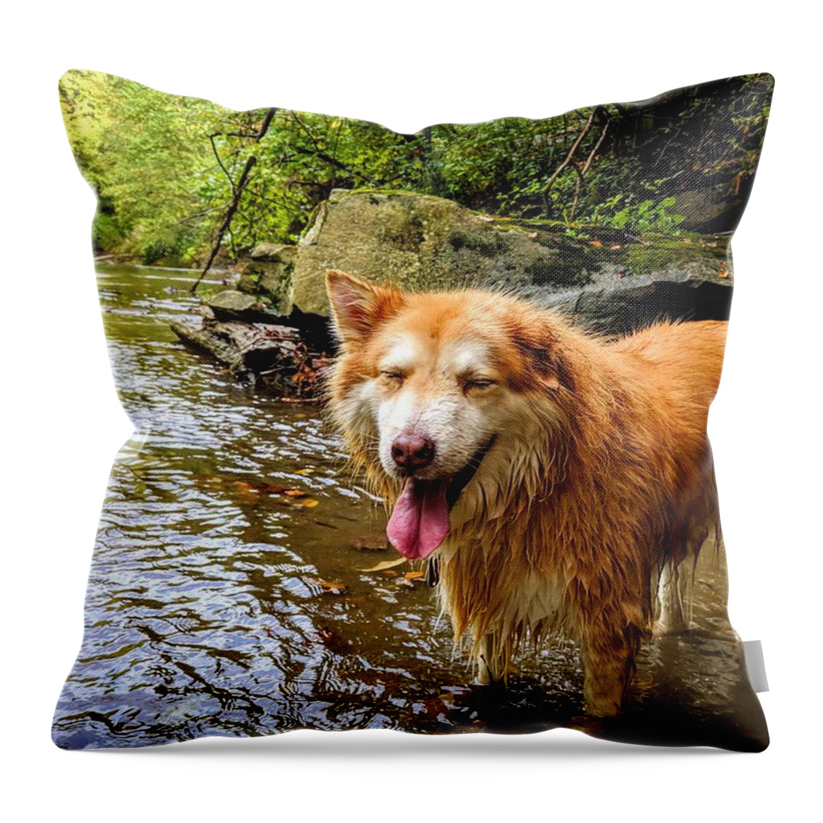  Throw Pillow featuring the photograph Happy Pup by Brad Nellis