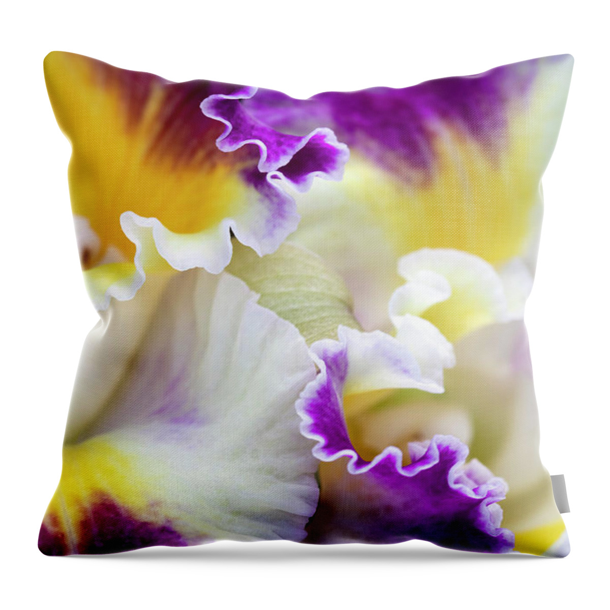 Flower Throw Pillow featuring the photograph Harlequin Cattleya Orchid by Patty Colabuono
