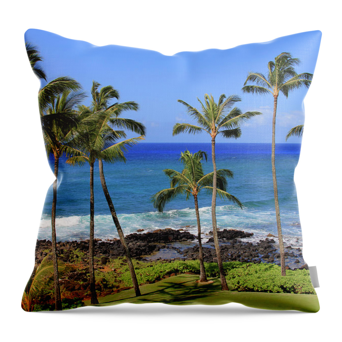 Trees Throw Pillow featuring the photograph Hawaiian Palms by Robert Carter