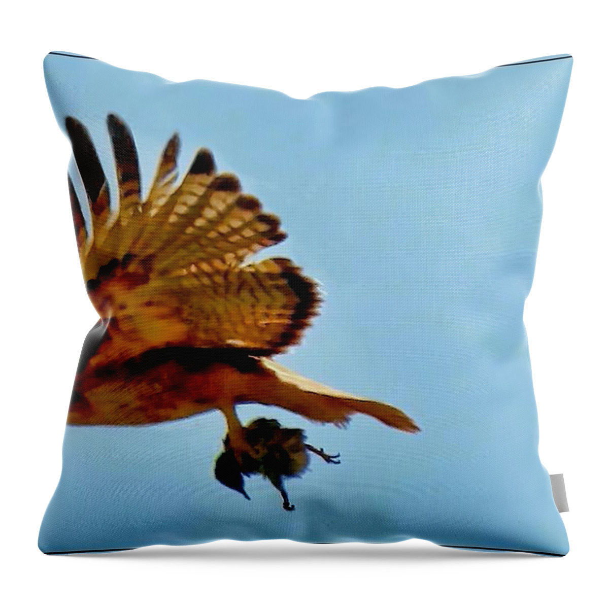 Waywardmuse Throw Pillow featuring the photograph Hawk's Take-Out by Judy Kennedy