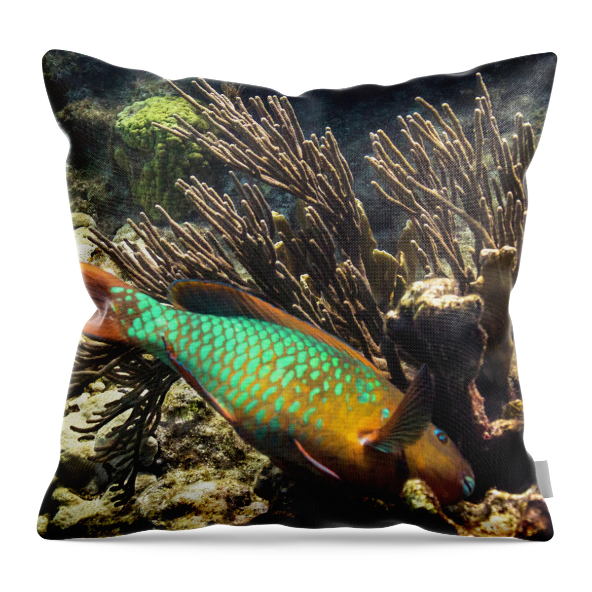 Ocean Throw Pillow featuring the photograph Heading In by Lynne Browne