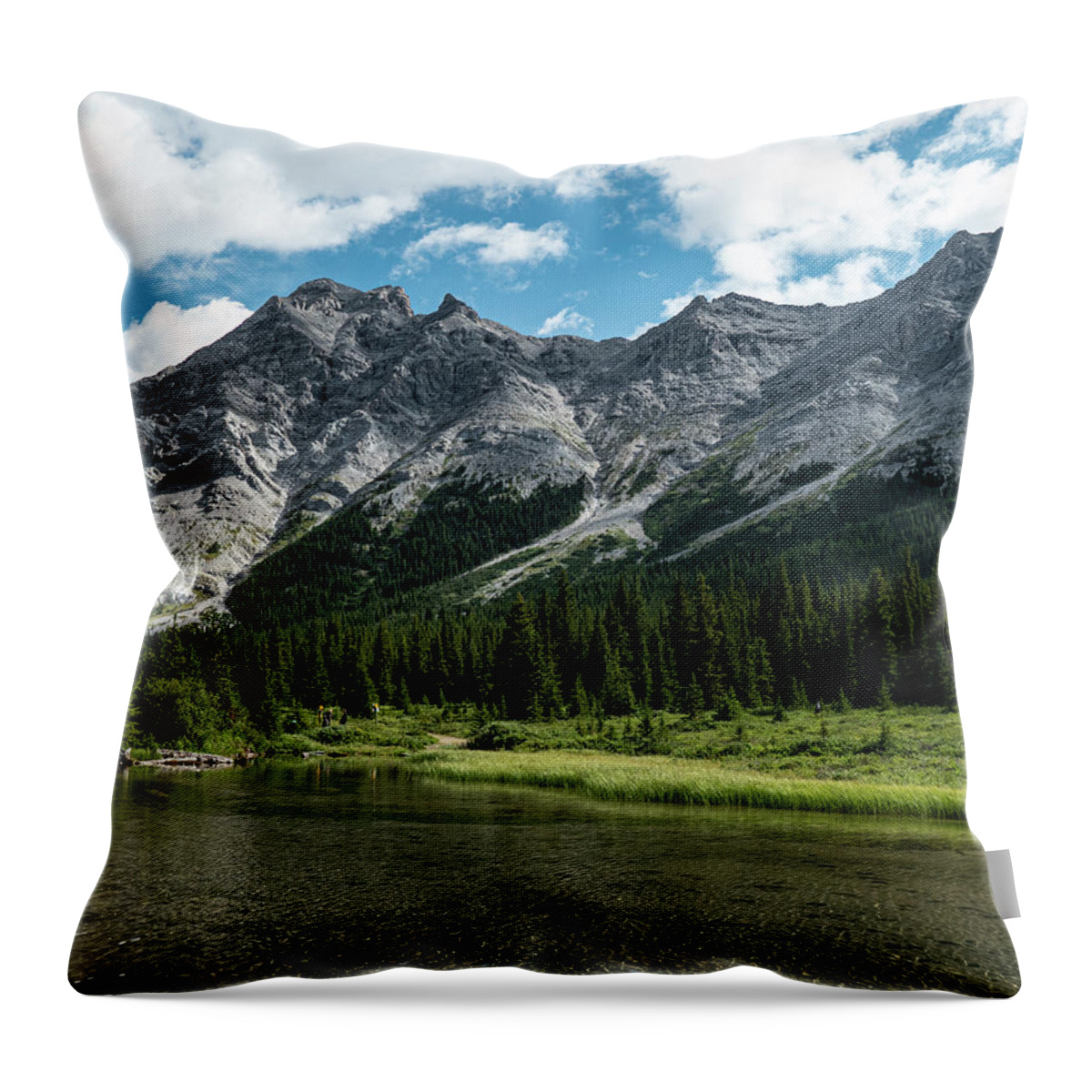 River Throw Pillow featuring the photograph headwaters of the Elbow River by Karen Rispin