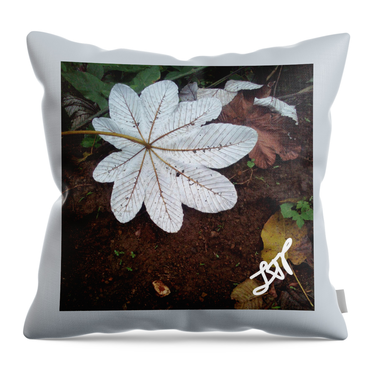 Heal Throw Pillow featuring the photograph Heal Me Herbal by Esoteric Gardens KN