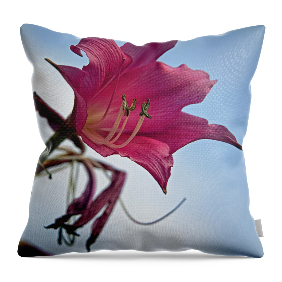 Lily Throw Pillow featuring the photograph Heirloom by M Kathleen Warren